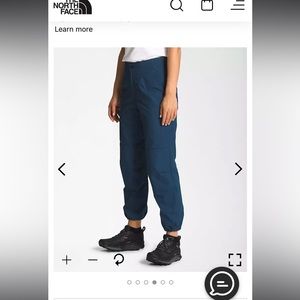 The NorthFace Routeset Pants size 2